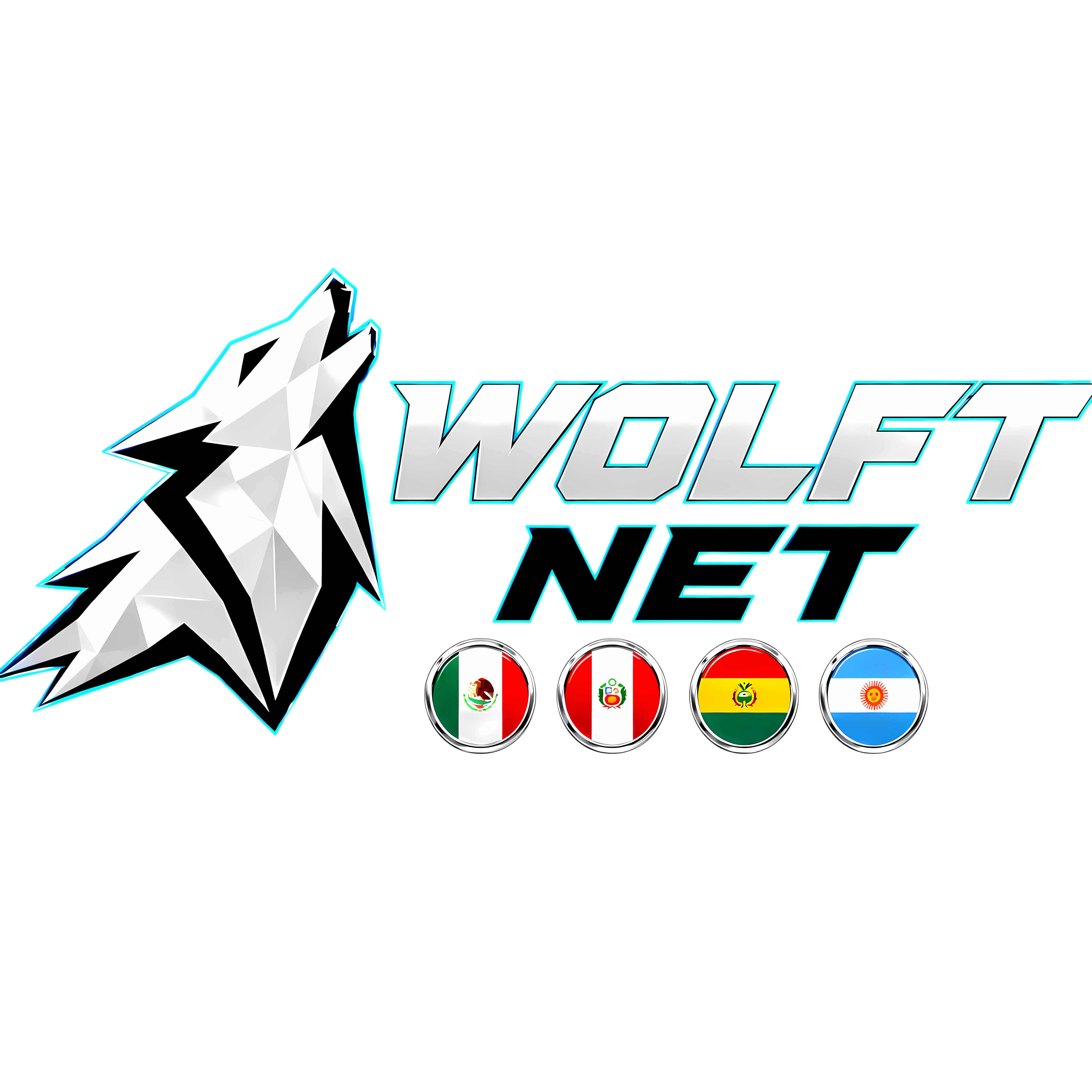 WOLFT NET - Agencia Web